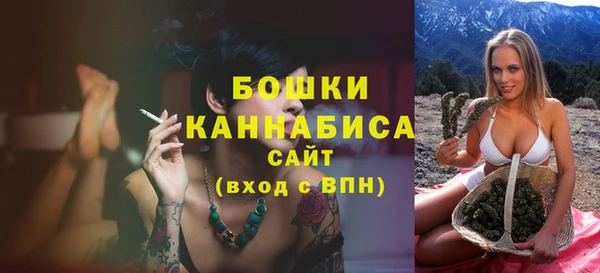 индика Гусь-Хрустальный