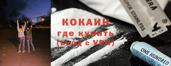 индика Гусь-Хрустальный