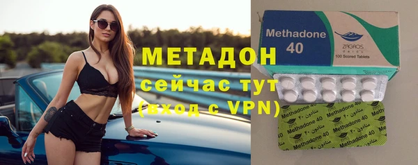 индика Гусь-Хрустальный