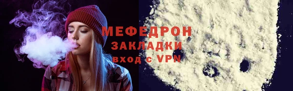 индика Гусь-Хрустальный
