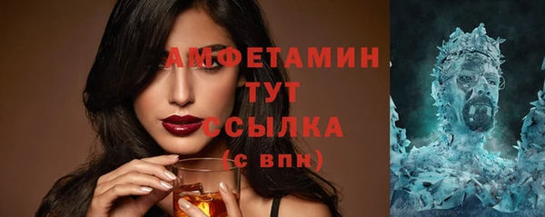 индика Гусь-Хрустальный