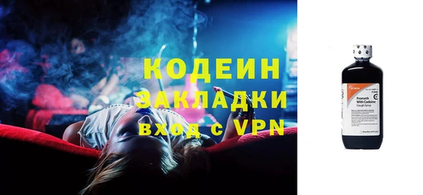 индика Гусь-Хрустальный