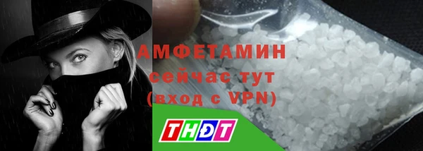 индика Гусь-Хрустальный