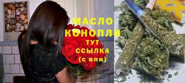 индика Гусь-Хрустальный