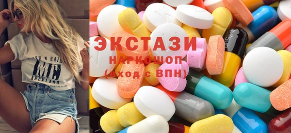 индика Гусь-Хрустальный