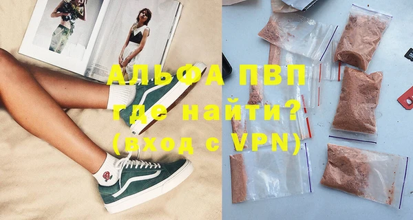 индика Гусь-Хрустальный