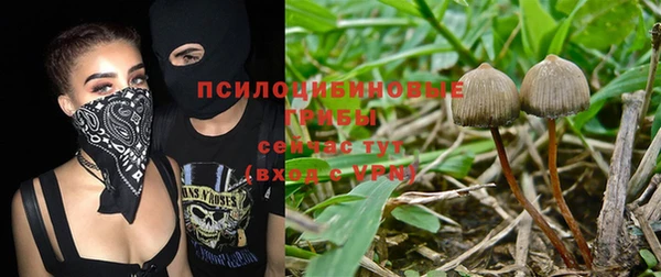 каннабис Гусев