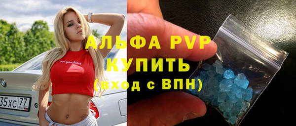индика Гусь-Хрустальный