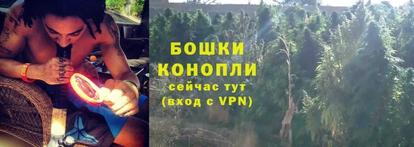 индика Гусь-Хрустальный