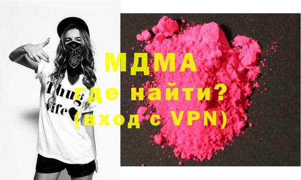 индика Гусь-Хрустальный