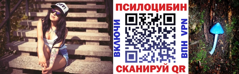 Псилоцибиновые грибы ЛСД  магазин  наркотиков  Кисловодск 